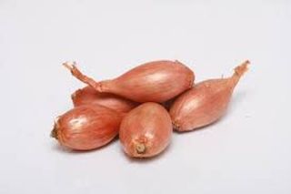 C ebula szalotka- 500g