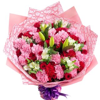 Blushing Romance Carnation
