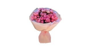 ვარდი “Silva pink”