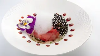 Tartar Tuna