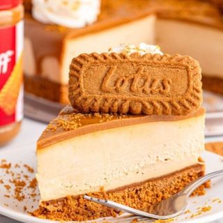 Cheesecake Lotus