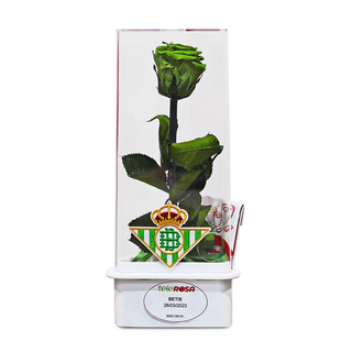 ETERNITY BETIS 1,56