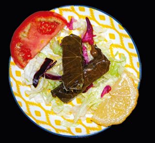 Tapa de hojas de parra