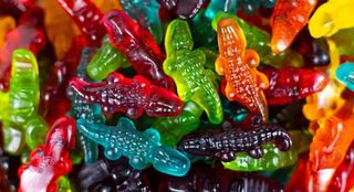 Mixed crocodile gummy 100g
