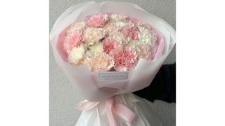 Bukiet z 25 pastelowych goździków