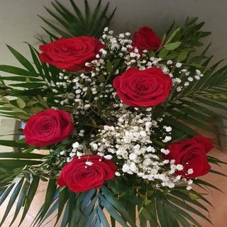 Media Docena Rosas Rojas