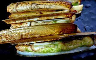 Navajas (10 Uds.) N°62