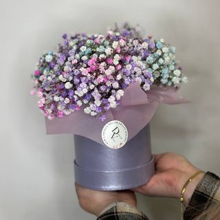 Flowerbox z gipsowką kolorową 