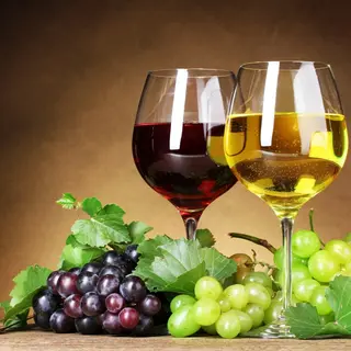 Vino