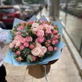 ვარდისფერი სპრეი ვარდები