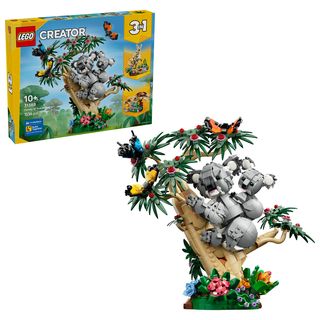 Animale sălbatice: Familie de urși koala - 31388