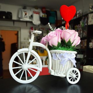 Biciclea cu ornament floral 