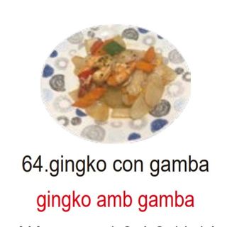 64.gingko con gamba