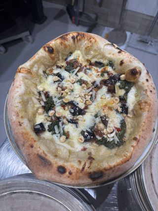 Ortolanea