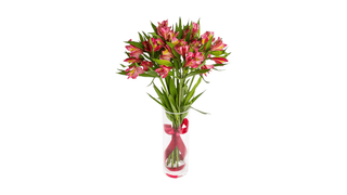 Alstromeria
