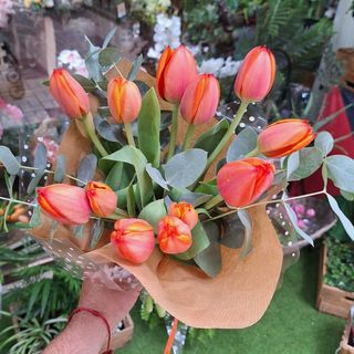 Ramillete 10 Tulipanes Naranja "La Unión"