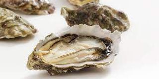 Ostriche al pezzo