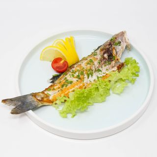 1136-Suzuki teppanyaki