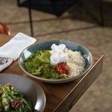 ვეგანური მწვანე ქარი