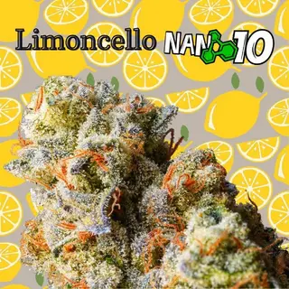 1G Limoncello X Nano 10 CBD Al 56%