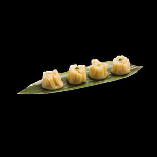 Gyoza verdure