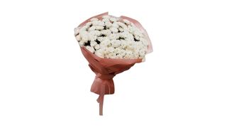 ჰოლანდიური ქრიზანთემები XL