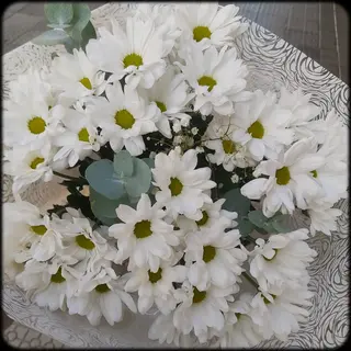 Ramo de Margaritas