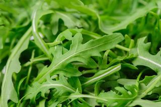 Rucola - 250gr