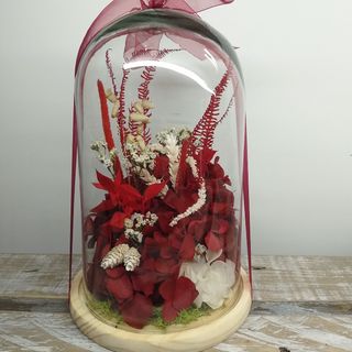 Cupula flor preservada 