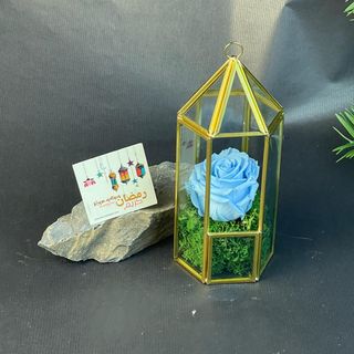 Rose Eternelle Bleue Ciel sous Fanous