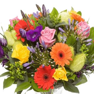 Bouquet Colorato Premium