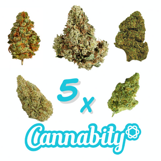 *OFERTA*  5 g INDOOR COMBINABLES 