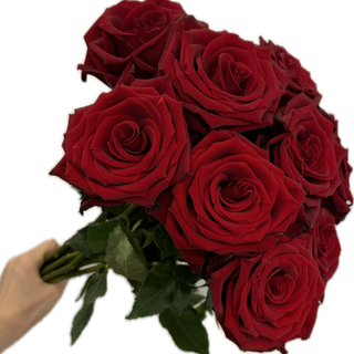 Bukiet z 9 czerwonych róż z materiałową wstążką