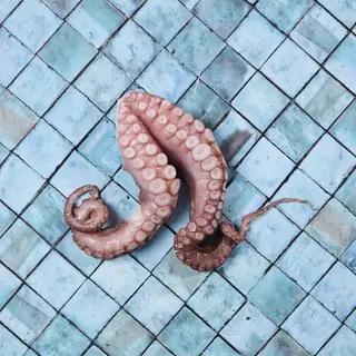 Tentacoli di polpo 
