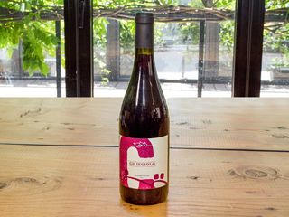 Toscana Cavallini-Manciano (G)