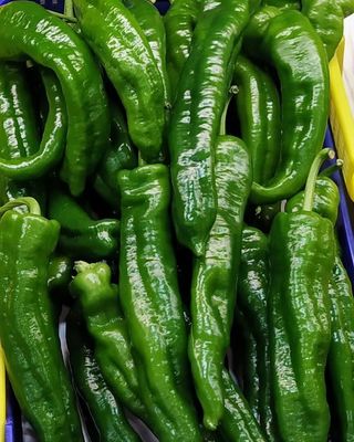 Pimiento Verde Italiano 500 Gr