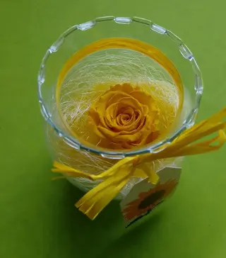 Rosa eterna + bolla di vetro