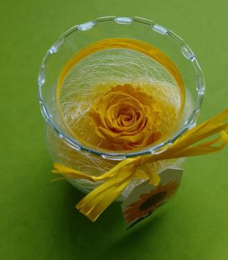 Rosa eterna + bolla di vetro