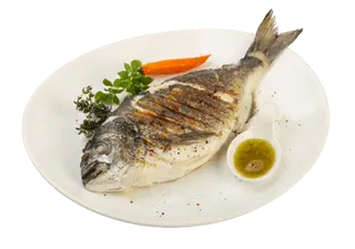 Grilled Dorado