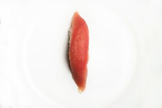 Nigiri Tonno