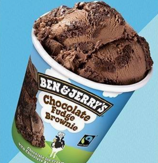 Ben & Jerry Chocolate Fudge Brownie