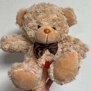 Niedźwiedź brązowy.