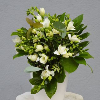 Buchet cadou cu 21 frezii albe