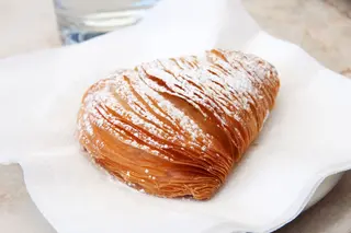 Riccia di ricotta