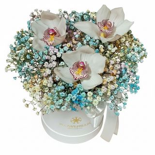 Квіти в коробці"Райдужний настрій"