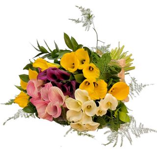 Buchet 29 Cale multicolore
