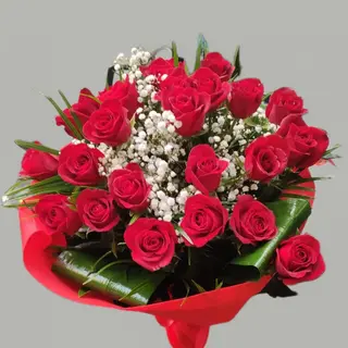 Rose rosse 10
