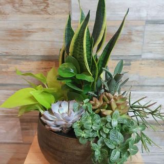 Compoziție Floristică Green