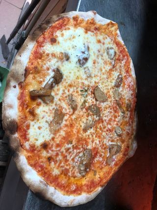 Funghi porcini - normale