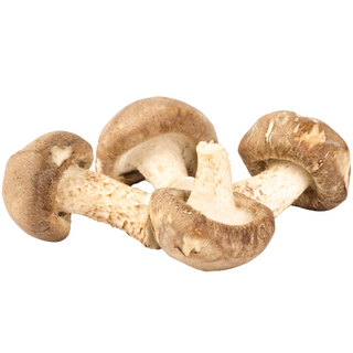 Seta Shitake 250g